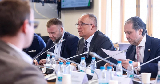 Константин Бабкин назвал конкретные меры поддержки производителей ДСТ