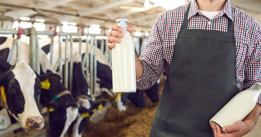 Кризис перепроизводства: в России невеселые молочники начали сливать продукцию